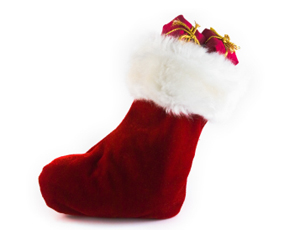 Holiday Gift Guide | Great Last Minute Gifts