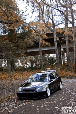 _MG_3477 _MG_3477
